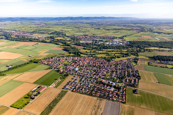 Bird's eye view of View of the town from the south in Steinweiler in the state Rhineland-Palatinate, Germany