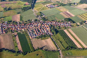 View from the north in Erlenbach bei Kandel in the state Rhineland-Palatinate, Germany