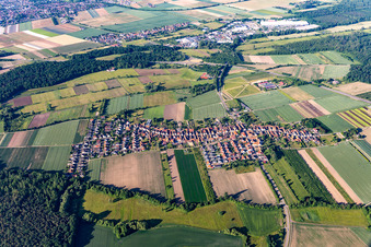 Aerial view of View from the north in Erlenbach bei Kandel in the state Rhineland-Palatinate, Germany