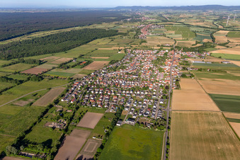Overview of the town from the east in Minfeld in the state Rhineland-Palatinate, Germany