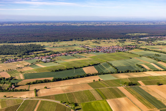Drone image of Freckenfeld in the state Rhineland-Palatinate, Germany
