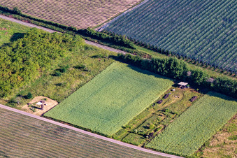 Idyll in the district Mühlhofen in Billigheim-Ingenheim in the state Rhineland-Palatinate, Germany