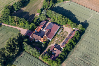 Leistenmühle in Erlenbach bei Kandel in the state Rhineland-Palatinate, Germany