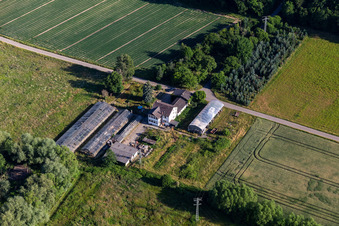 Erlenhof Nursery in Erlenbach bei Kandel in the state Rhineland-Palatinate, Germany
