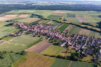 Village view from the southeast in Erlenbach bei Kandel in the state Rhineland-Palatinate, Germany