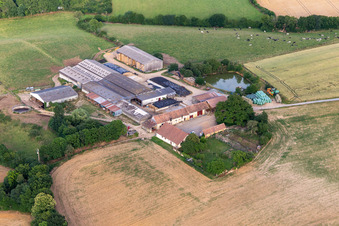 La Goupillière in Semur-en-Vallon in the state Sarthe, France