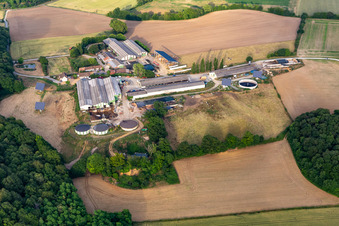 The Grande Bardière in Saint-Michel-de-Chavaignes in the state Sarthe, France