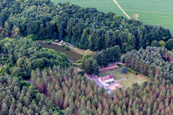 Dollon in the state Sarthe, France from above