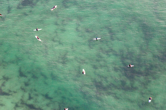 Surfers waiting for the wave in front of the Plage la Torche-Tronoën in Plomeur in the state Finistere, France