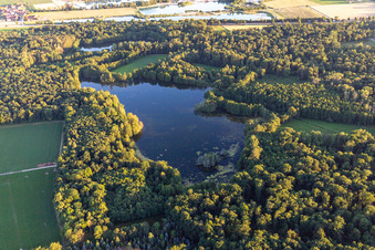 Pond at Moosgraben in the district Eltheim in Barbing in the state Bavaria, Germany