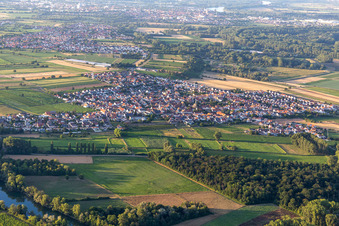 Drone image of District Mechtersheim in Römerberg in the state Rhineland-Palatinate, Germany