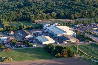 ALBA Electronics Recycling GmbH Branch Lustadt in the district Niederlustadt in Lustadt in the state Rhineland-Palatinate, Germany