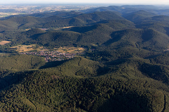 Aerial view of Birkenhördt in the state Rhineland-Palatinate, Germany