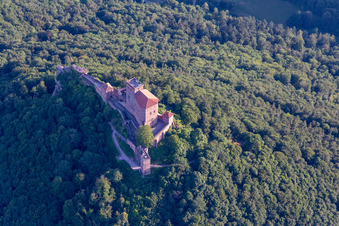 Trifels Castle in Annweiler am Trifels in the state Rhineland-Palatinate, Germany from the plane