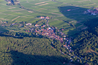 Leinsweiler in the state Rhineland-Palatinate, Germany from above