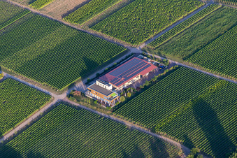 Vögeli Winery in the district Wollmesheim in Landau in der Pfalz in the state Rhineland-Palatinate, Germany