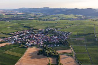 District Mörzheim in Landau in der Pfalz in the state Rhineland-Palatinate, Germany from above