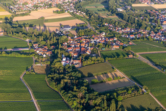 Drone image of District Ingenheim in Billigheim-Ingenheim in the state Rhineland-Palatinate, Germany