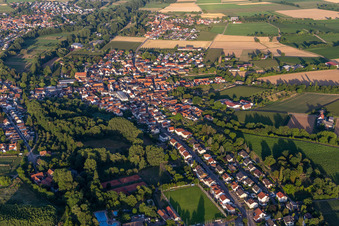 District Ingenheim in Billigheim-Ingenheim in the state Rhineland-Palatinate, Germany from the drone perspective