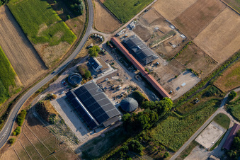 Erlenhof in Neupotz in the state Rhineland-Palatinate, Germany