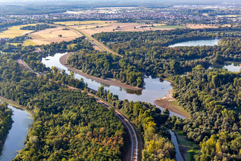 Old Rhine at low water in the district Leopoldshafen in Eggenstein-Leopoldshafen in the state Baden-Wuerttemberg, Germany