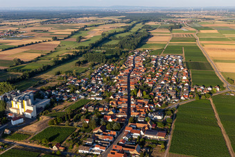 Aerial view of Grain mill of Cornexo GmbH in Freimersheim in the state Rhineland-Palatinate, Germany