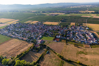 Altdorf in the state Rhineland-Palatinate, Germany from above