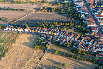 Iggelheimer Way in Haßloch in the state Rhineland-Palatinate, Germany