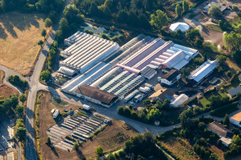 Aerial view of Reiner Schehlmann in Schifferstadt in the state Rhineland-Palatinate, Germany