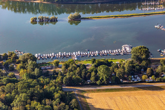 1. MBC Speyer in Speyer in the state Rhineland-Palatinate, Germany