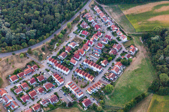 In the beak in Wörth am Rhein in the state Rhineland-Palatinate, Germany