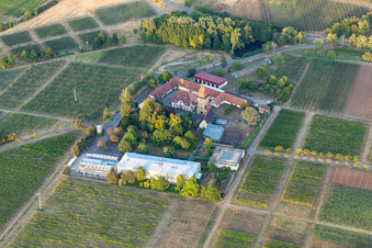 Aerial view of JKI Institute for Grape Breeding Geilweilerhof in Siebeldingen in the state Rhineland-Palatinate, Germany