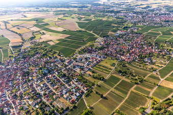 Wine-growing towns from the north in the district Schweigen in Schweigen-Rechtenbach in the state Rhineland-Palatinate, Germany