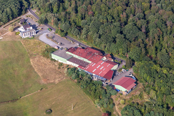Cléebourg Wine Cellar in Rott in the state Bas-Rhin, France
