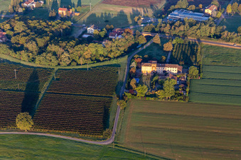 Tutto Lambretta Classic Scooter snc di Ferretti Orietta e C in Reggio nell’Emilia in the state Reggio Emilia, Italy