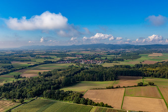 Billigheimer Bruch from the northeast in the district Ingenheim in Billigheim-Ingenheim in the state Rhineland-Palatinate, Germany
