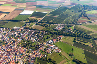 Bird's eye view of Insheim in the state Rhineland-Palatinate, Germany