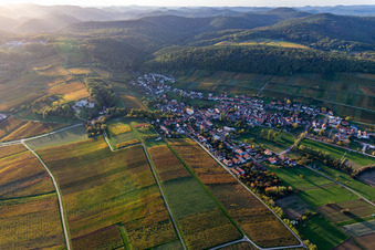 Bird's eye view of District Pleisweiler in Pleisweiler-Oberhofen in the state Rhineland-Palatinate, Germany