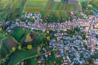 Göcklingen in the state Rhineland-Palatinate, Germany from the plane