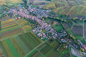 Bird's eye view of Göcklingen in the state Rhineland-Palatinate, Germany
