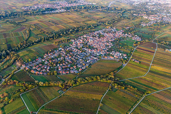 District Arzheim in Landau in der Pfalz in the state Rhineland-Palatinate, Germany seen from a drone