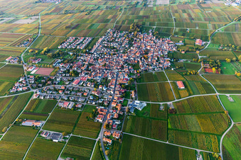 Aerial view of District Nußdorf in Landau in der Pfalz in the state Rhineland-Palatinate, Germany