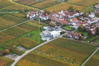 Wine shop Weingut Sauer in Nußdorf in the district Nußdorf in Landau in der Pfalz in the state Rhineland-Palatinate, Germany