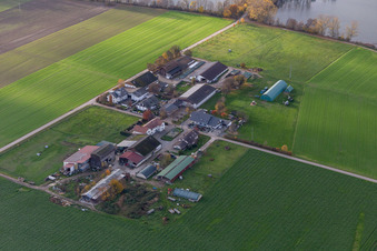 Aerial view of Burgerhof, Jägerhof in Neupotz in the state Rhineland-Palatinate, Germany