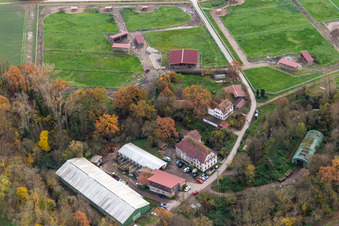 Aerial view of Wanzheim Mill in Rheinzabern in the state Rhineland-Palatinate, Germany