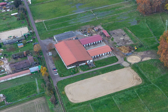 Horse farm in the district Minderslachen in Kandel in the state Rhineland-Palatinate, Germany