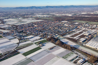 From the southeast in winter when there is snow in Offenbach an der Queich in the state Rhineland-Palatinate, Germany