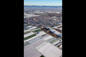 Aerial view of From the southeast in winter when there is snow in Offenbach an der Queich in the state Rhineland-Palatinate, Germany
