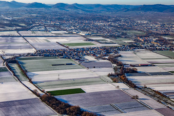 From the east in winter when there is snow in the district Mörlheim in Landau in der Pfalz in the state Rhineland-Palatinate, Germany