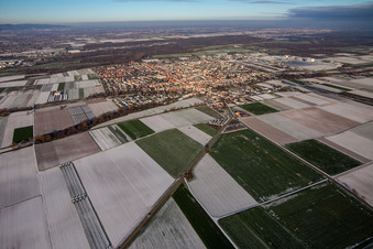 Aerial view of From the southwest in winter when there is snow in Offenbach an der Queich in the state Rhineland-Palatinate, Germany